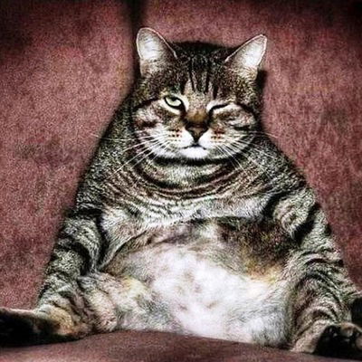 Антон Чигур