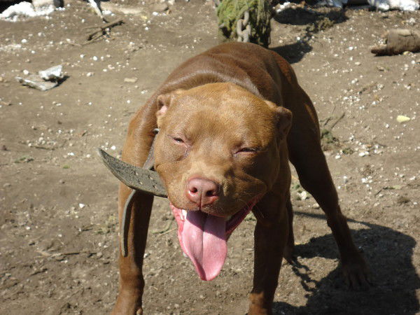 Василий Самбуров