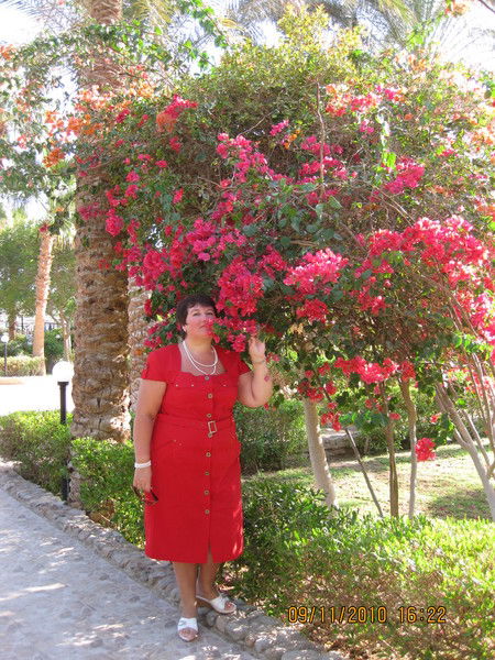 Людмила Архипова