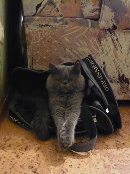 Геннадий Луняков