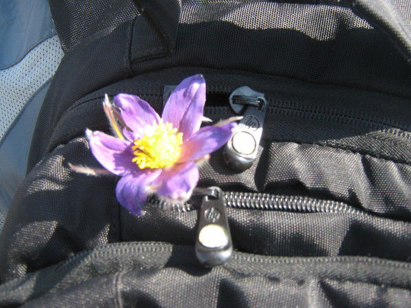 A.l.e.x.ey \\\life In Love