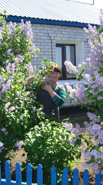 Тоо Перекатненский Элеватор