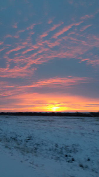 Олег Власов