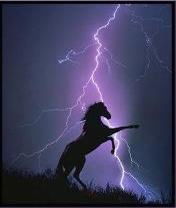 Дмитрий Дьяков