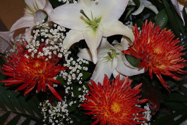 Анна Поспелова