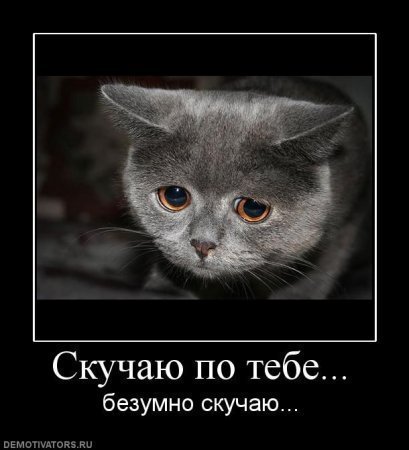 Евгений Фадеев