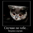 Евгений Фадеев