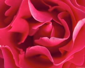 Евгения Кашина