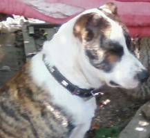 Александра)))