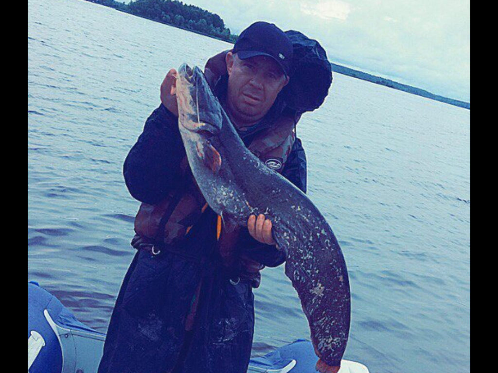 Алексей Сафронов