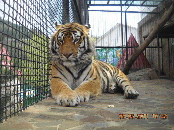 Сергей Бебко