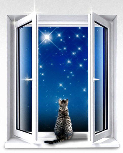 Дмитрий Славинов