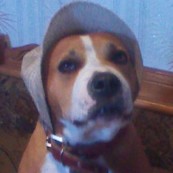 Денис Саломатов