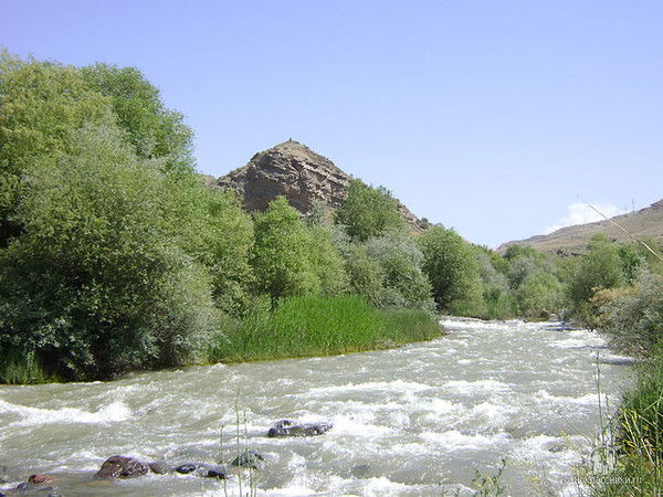 Ирада )))))))))