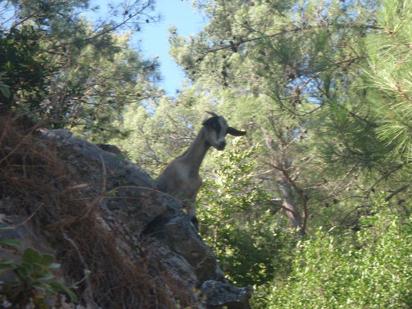 Виктория Бессолова