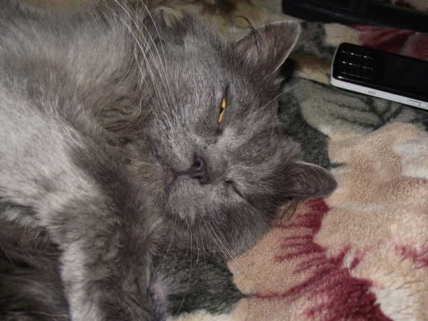 Ирина Спиченкова