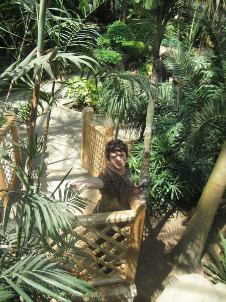 Елена Марченко