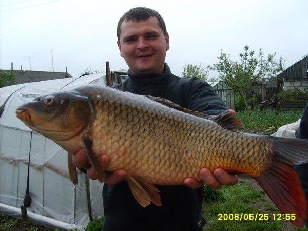 Сергей Соболь