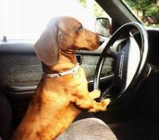 Валодя Ерёменко