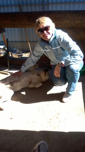 Алла Шкороденок