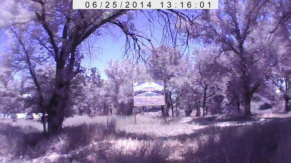 Спасём Рощу