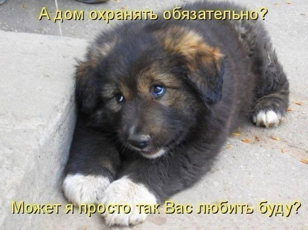 Дмитрий Резвиков