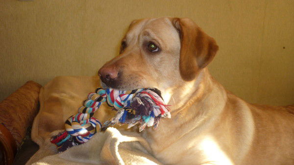 Владимир Клементьев