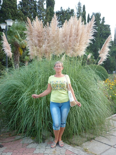 Лариса Косолапова