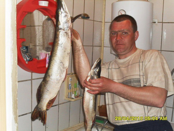 Владислав Брендин