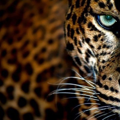 Андрей Юрьев