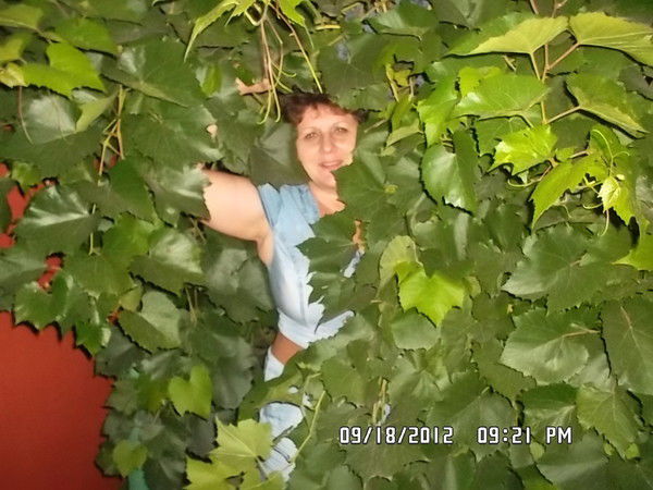 Наташа Коноплина