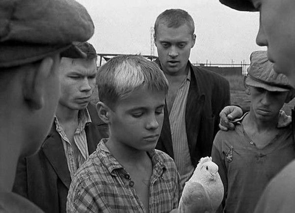 Владимир Щеканов