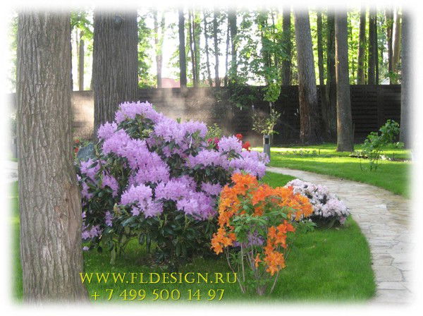 Юлия Матвеева