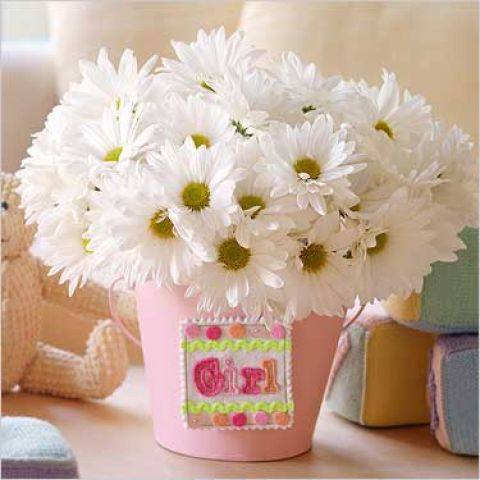 Настенька Настенька