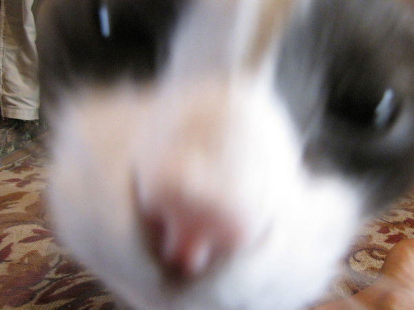 Андрей Севрюк