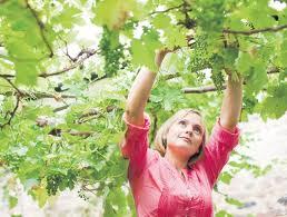 Татьяна Замула