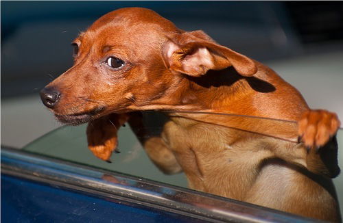 Щукина Наталья