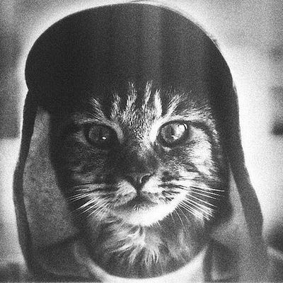 Максим Сергеивич