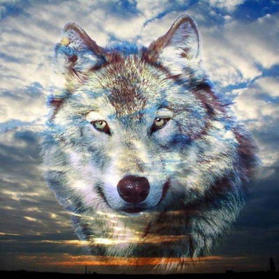 Игорь Абрамов