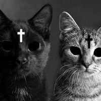 Андрей Винник