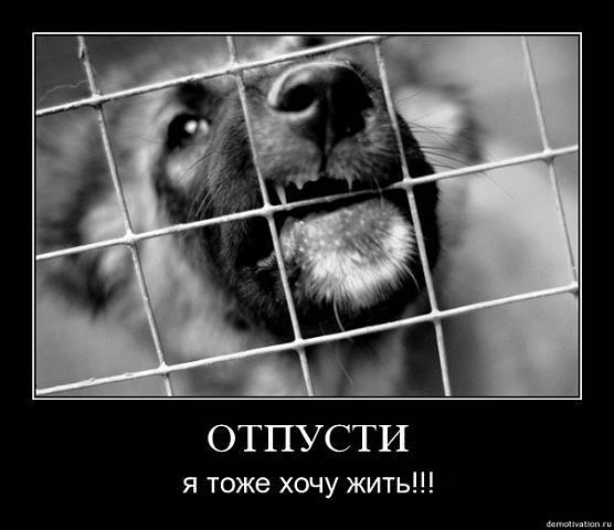 Виктор Пимкин