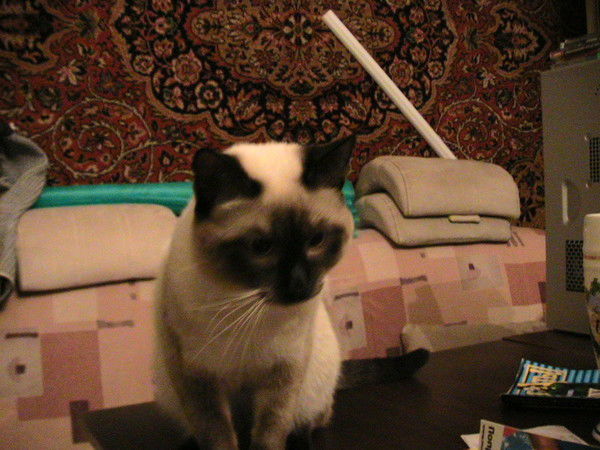 Ирина Лозовская