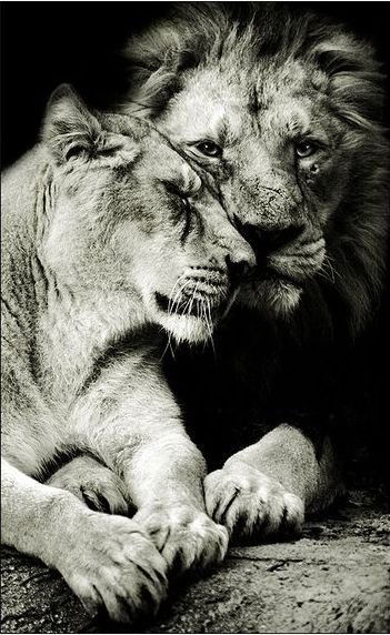 Владимир Лядов