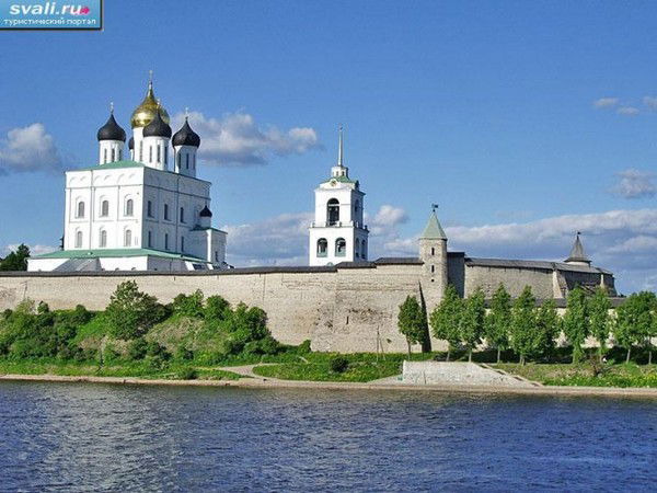 Медотдел Псковская Область