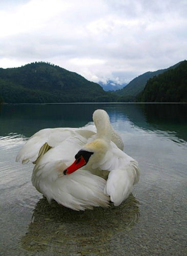 Рита Комракова