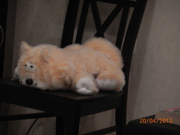 Светлана Василькова