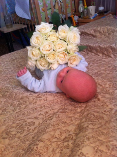 Ксения Сибилева