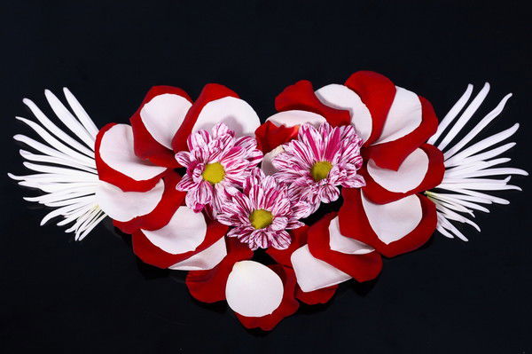 Наталья Кривова