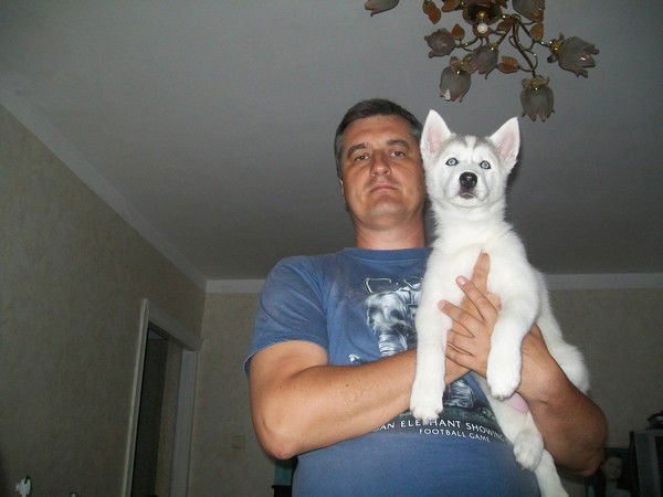 Алексей Востриков