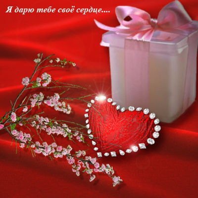 Алина Кишкова